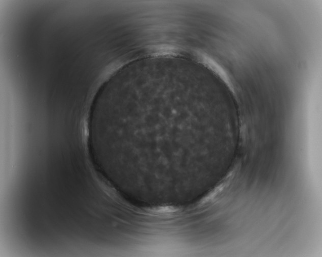 X0000094230059200711091321