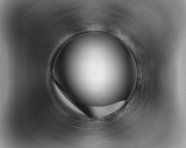 X0000094230060200711091321