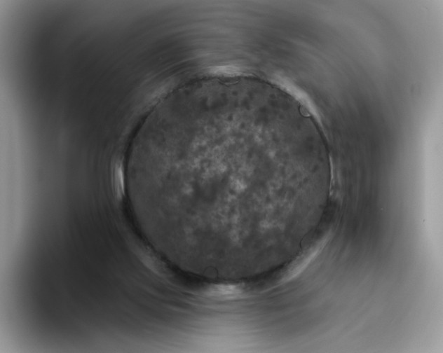 X0000094230061200711091321