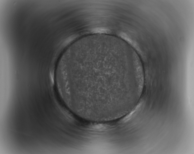 X0000094230062200711091321