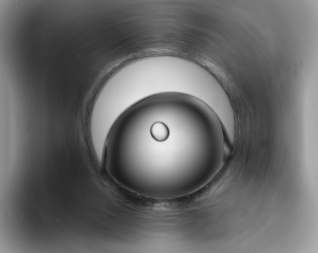 X0000094230064200711091321