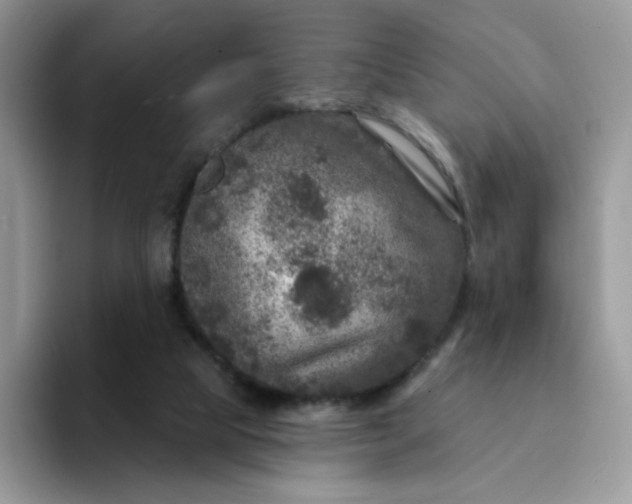 X0000094230065200711091321