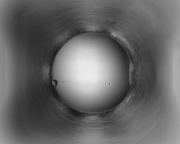 X0000094230066200711091321