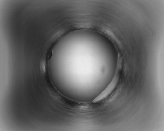 X0000094230068200711091321