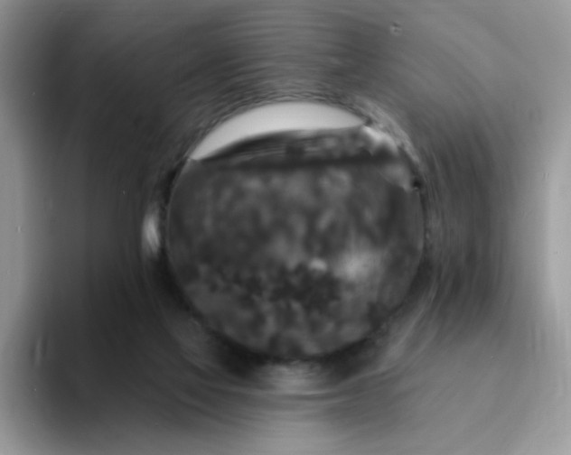 X0000094230069200711091321