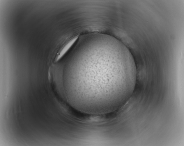 X0000094230070200711091321