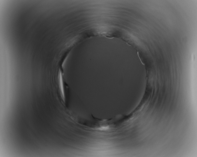 X0000094230076200711091321