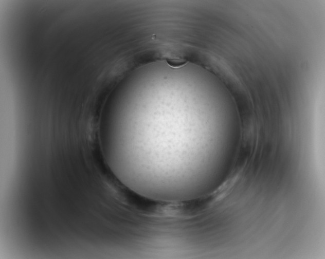 X0000094230078200711091321