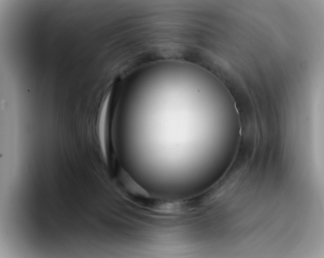 X0000094230084200711091322