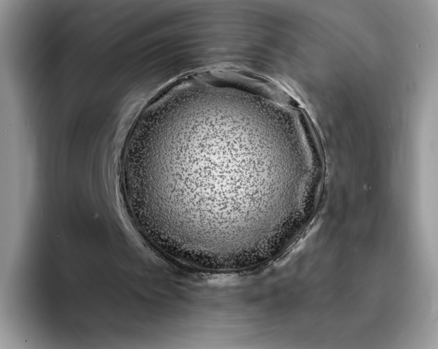 X0000094230097200711091321