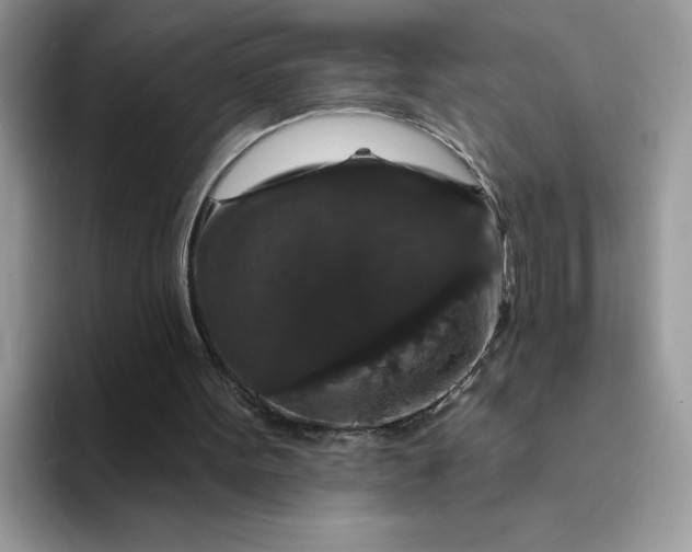 X0000094230099200711091321