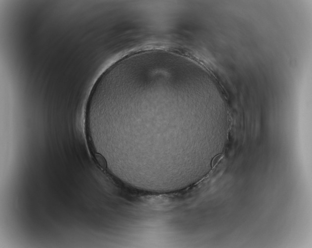 X0000094230100200711091321