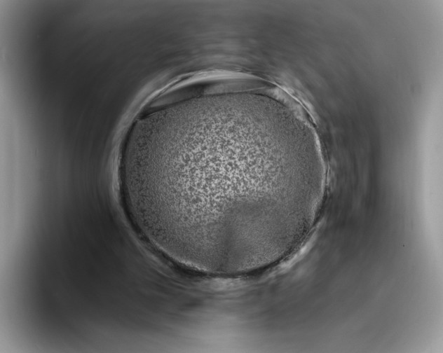 X0000094230101200711091321