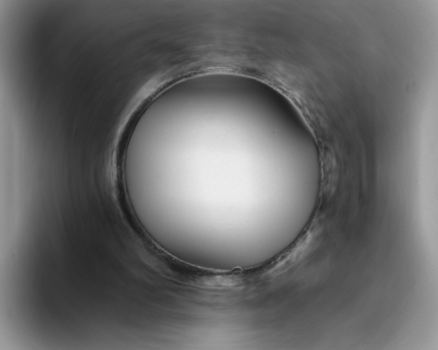 X0000094230102200711091321