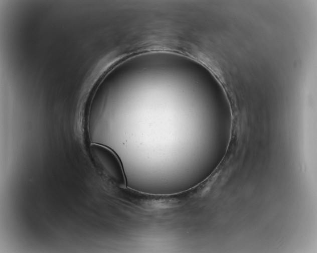 X0000094230103200711091321