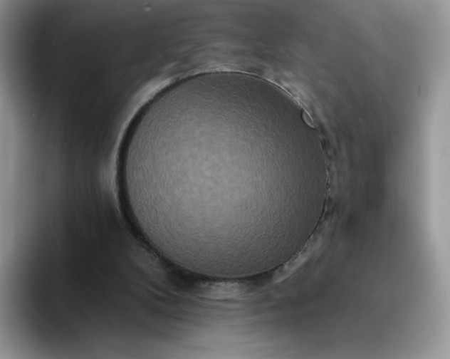 X0000094230104200711091321