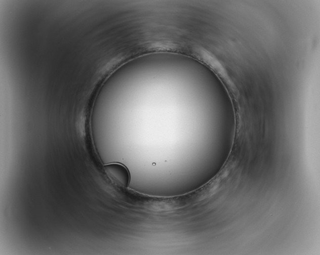 X0000094230106200711091321