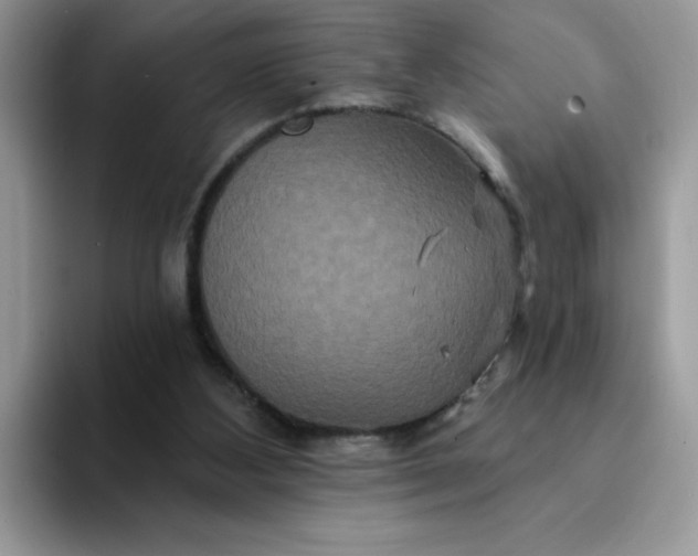 X0000094230108200711091321