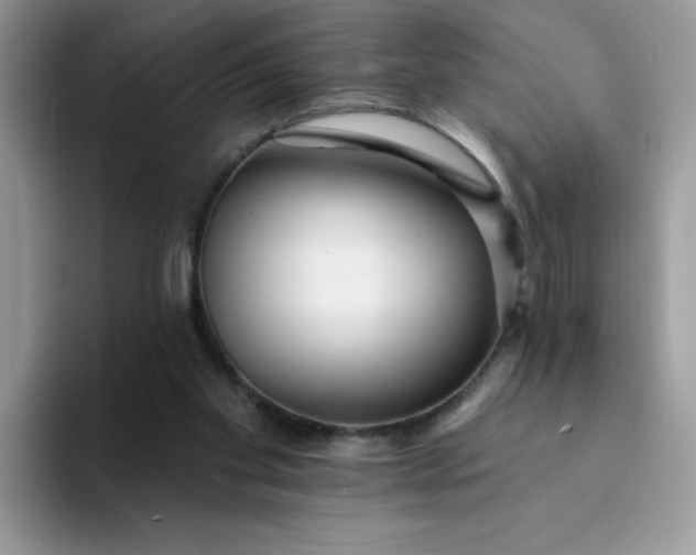 X0000094230109200711091321