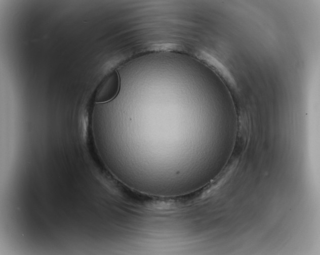 X0000094230110200711091321