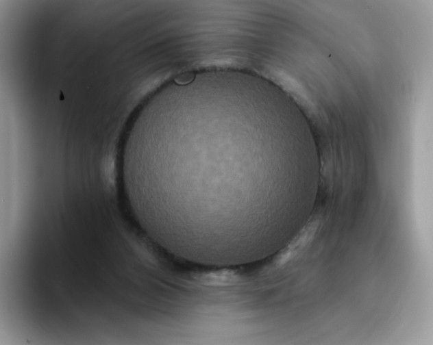 X0000094230112200711091321