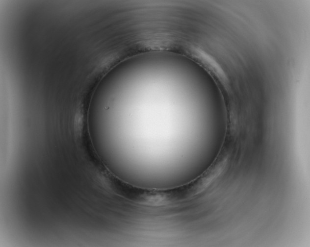 X0000094230113200711091321