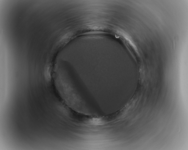 X0000094230114200711091321