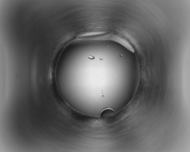 X0000094230115200711091321