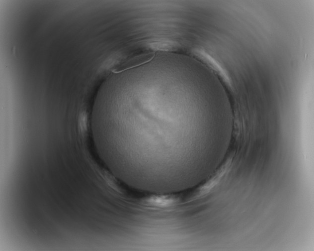 X0000094230117200711091321