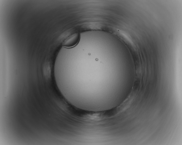 X0000094230120200711091321