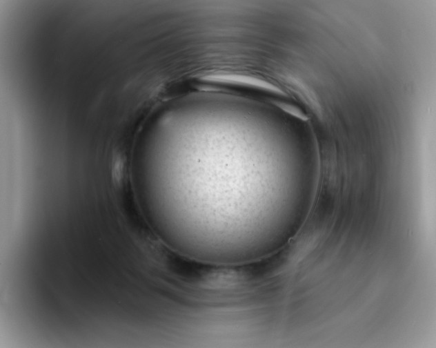 X0000094230123200711091321