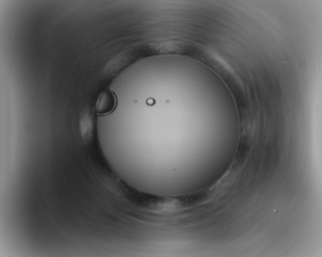 X0000094230124200711091321