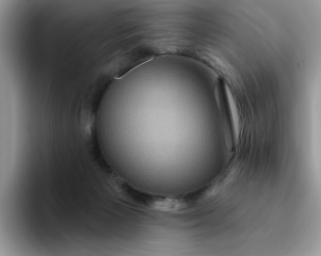 X0000094230125200711091321