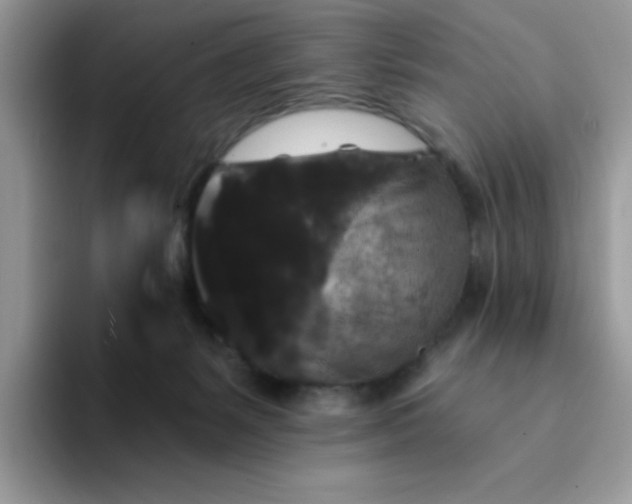 X0000094230127200711091321