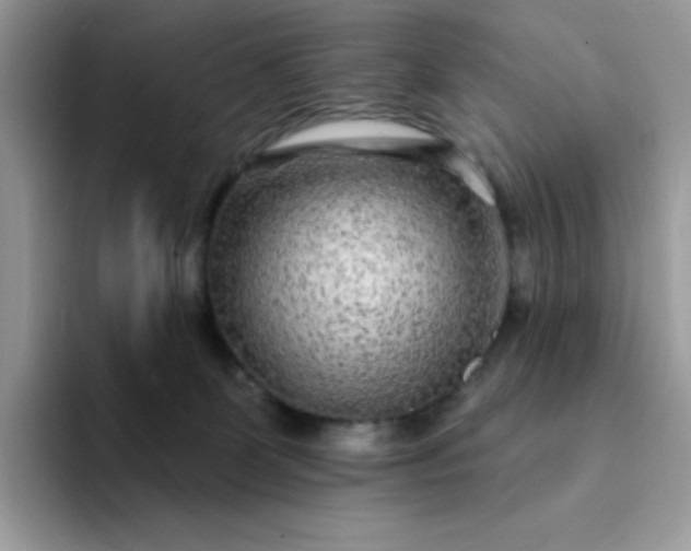 X0000094230131200711091321