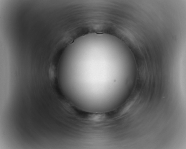 X0000094230135200711091321