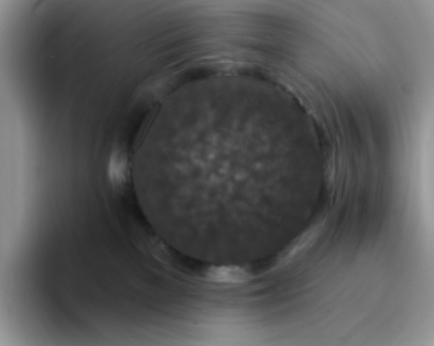 X0000094230137200711091321