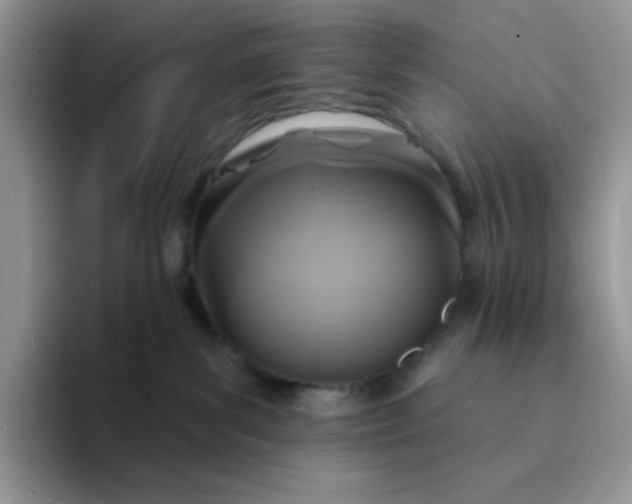 X0000094230139200711091321