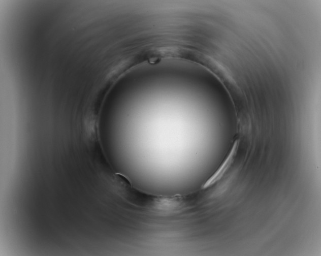 X0000094230141200711091321