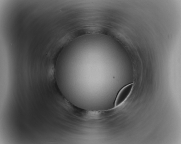 X0000094230144200711091321