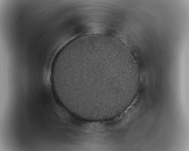 X0000094230146200711091320