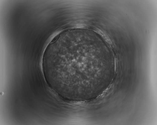 X0000094230147200711091320