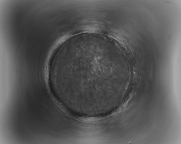 X0000094230149200711091320