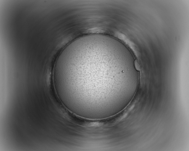 X0000094230153200711091320