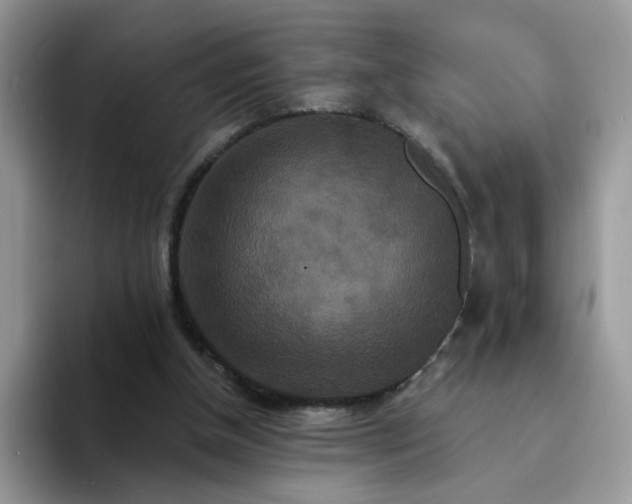 X0000094230154200711091320