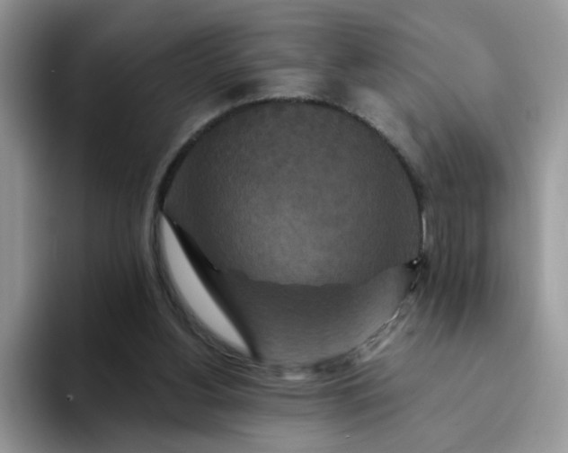 X0000094230156200711091320