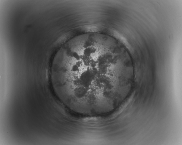 X0000094230161200711091320