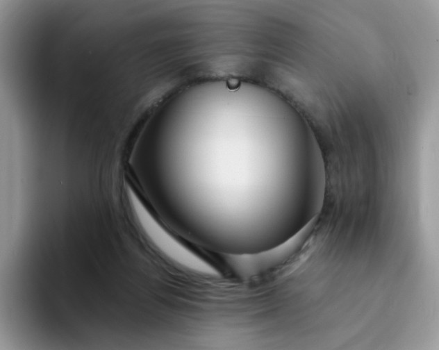 X0000094230164200711091320