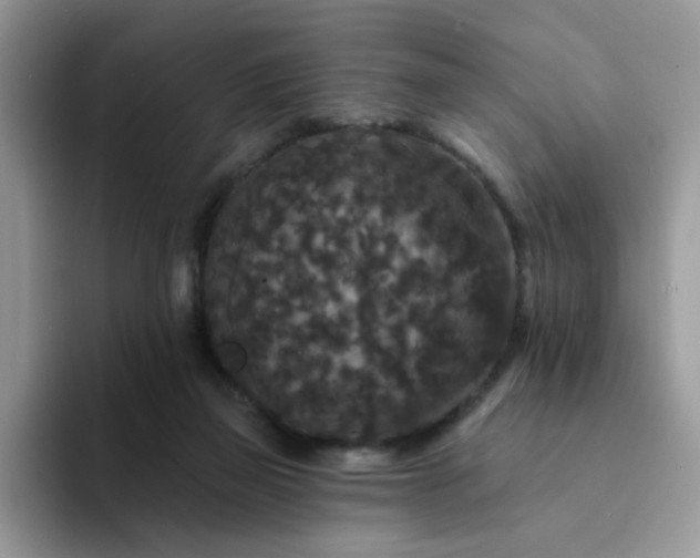 X0000094230165200711091320