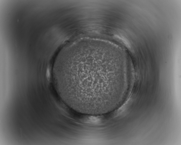 X0000094230166200711091320